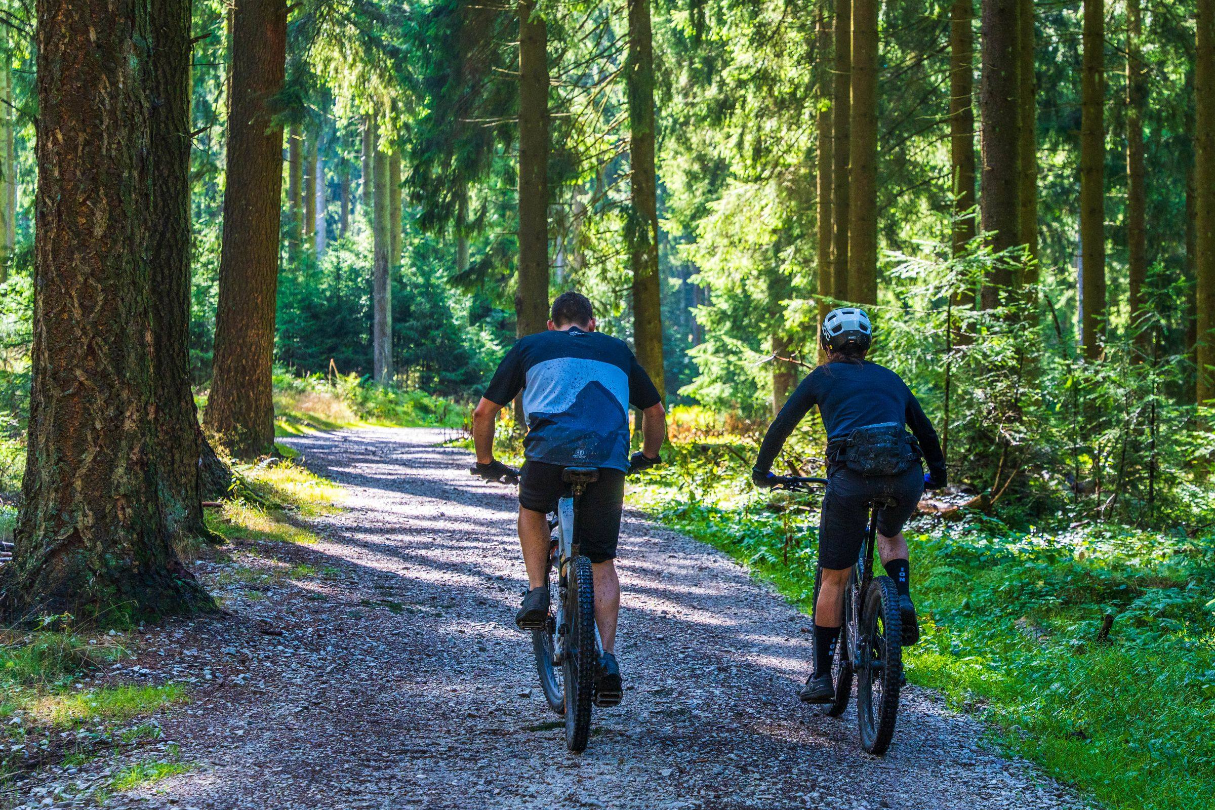 Bicicleta de montaña en un sendero