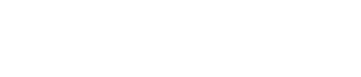 Focus Bikes