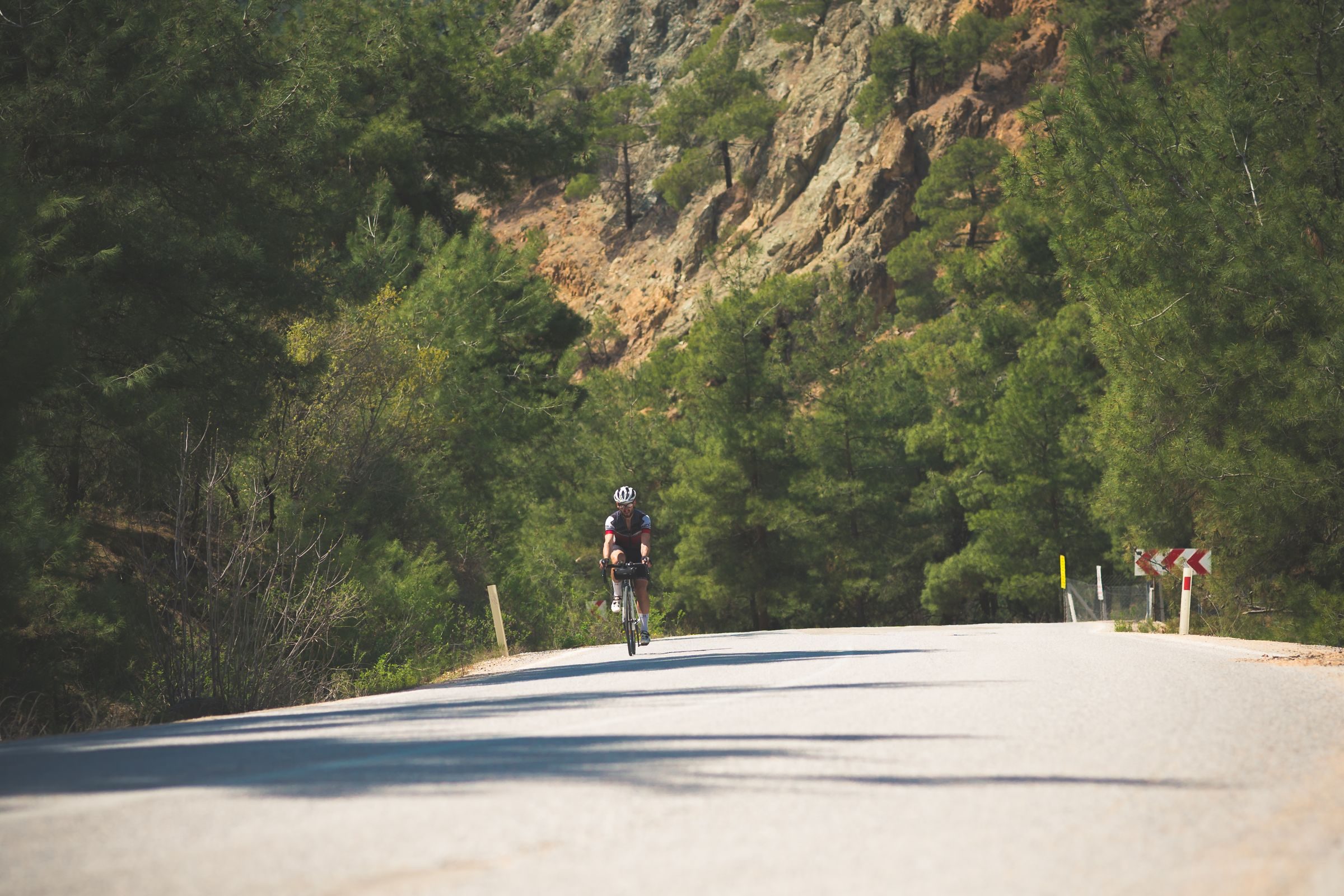 Ciclistas por pinares mediterráneos